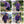 ProtectX Purple Color 2-Pack Sun Protection Hoodies UPF 50+ Quick Dry Long Sleeve Athletic Shirts